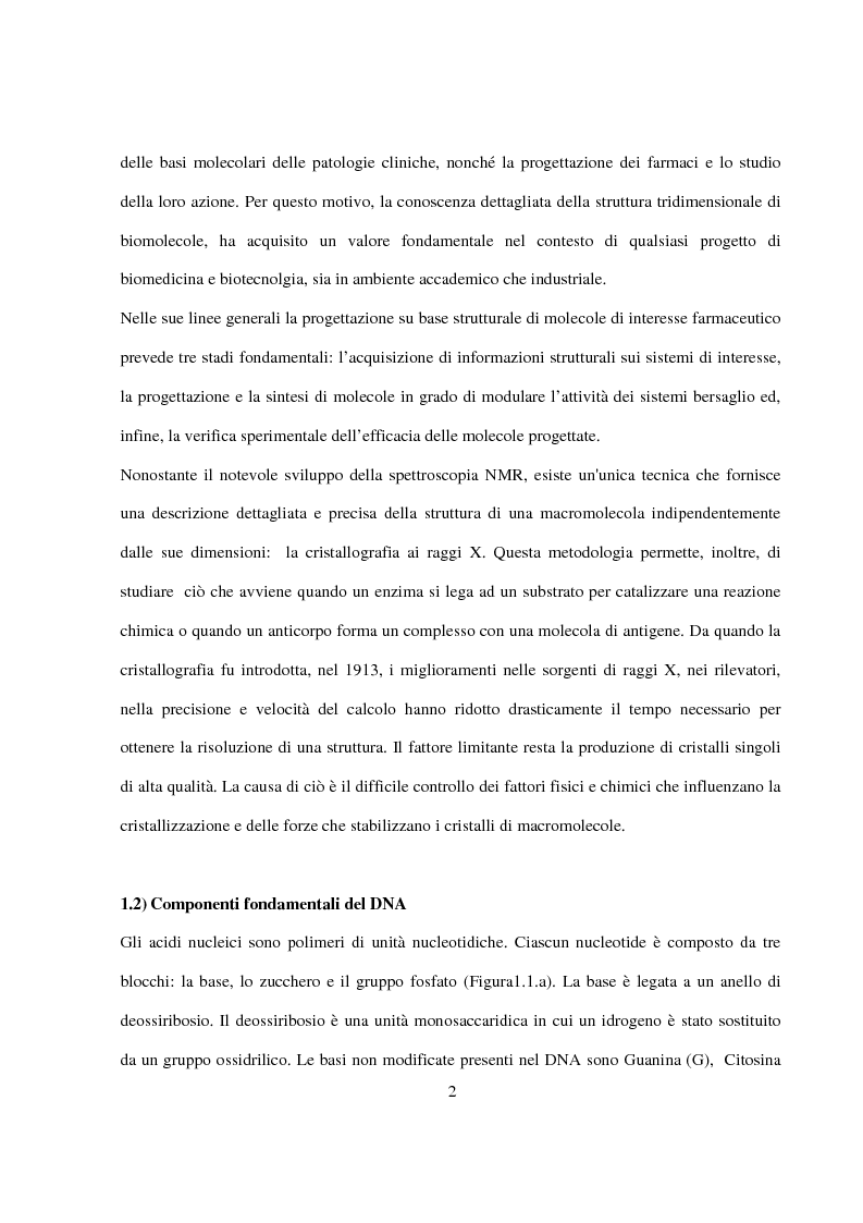 Anteprima della tesi: Caratterizzazione e cristallizzazione di sequenze oligonucleotidiche ricche in guanina formanti quadruple eliche di DNA, Pagina 3