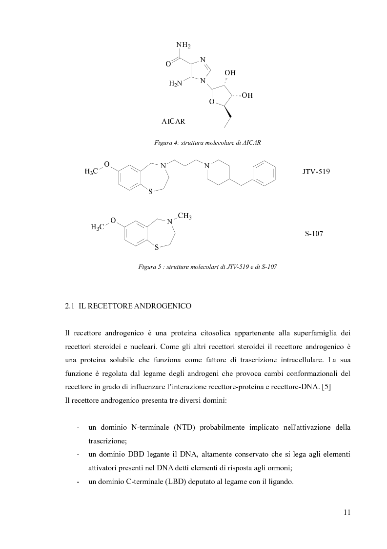 Anteprima della tesi: Agenti dopanti di nuova generazione: strategie analitiche per la determinazione di modulatori selettivi del recettore androgenico (SARM) in fluidi biologici, Pagina 6