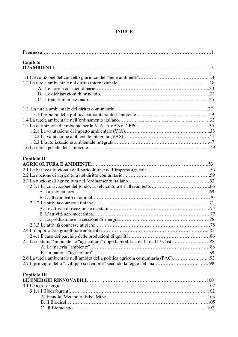 Indice della tesi: Le agro-energie, Pagina 1
