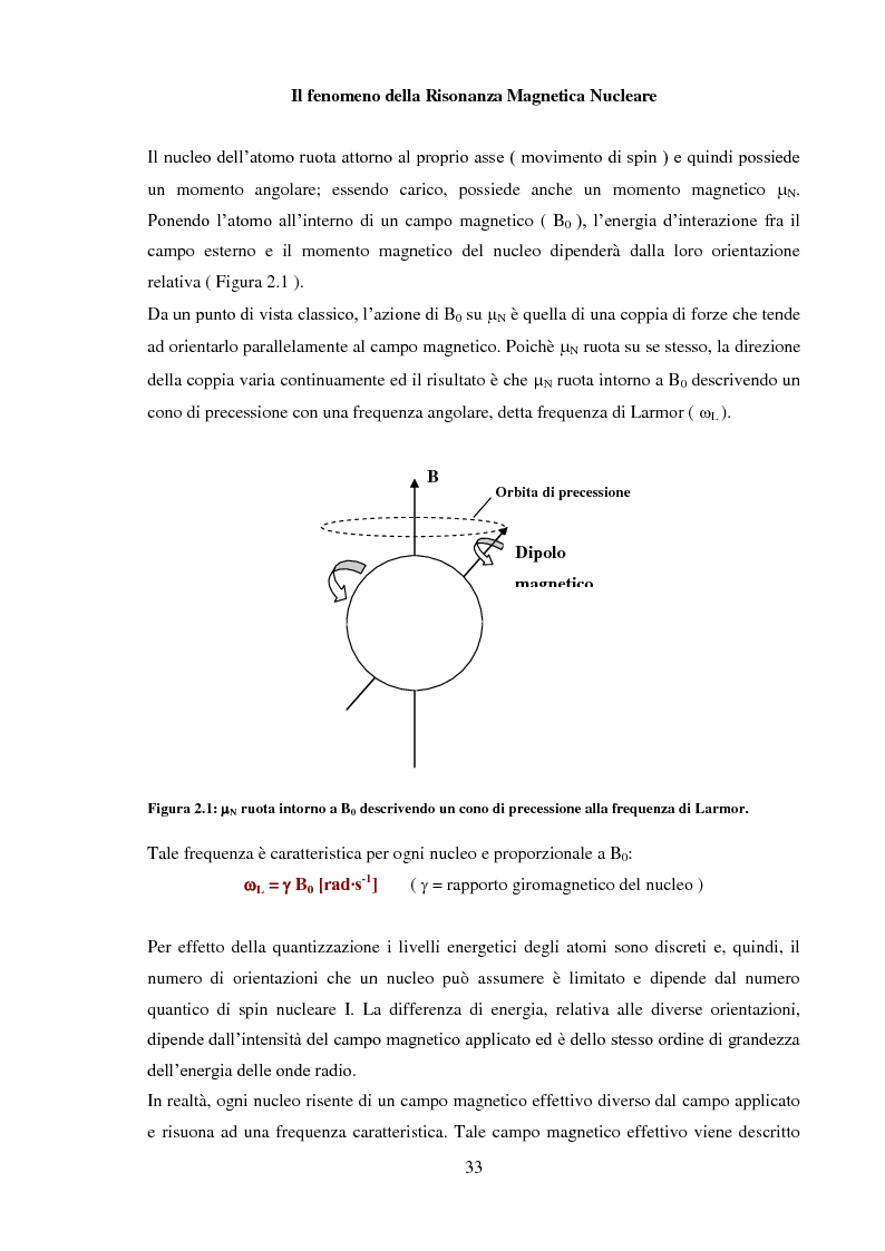 Anteprima della tesi: Caratterizzazione rilassometrica di vini ed aceti, Pagina 3