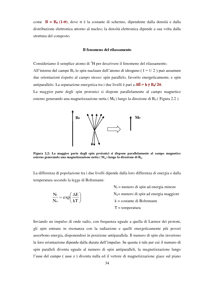 Anteprima della tesi: Caratterizzazione rilassometrica di vini ed aceti, Pagina 4