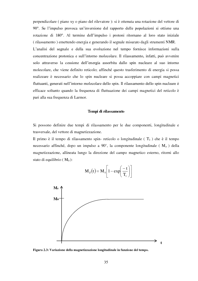 Anteprima della tesi: Caratterizzazione rilassometrica di vini ed aceti, Pagina 5