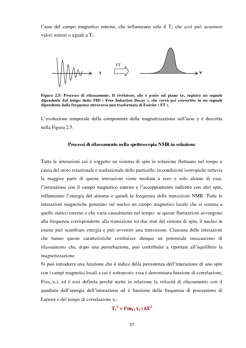 Anteprima della tesi: Caratterizzazione rilassometrica di vini ed aceti, Pagina 7