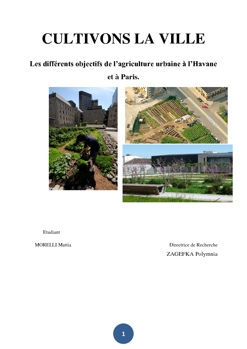Anteprima della tesi: Cultivons la ville. Les différents objectifs de l’agriculture urbaine à l’Havane et à Paris., Pagina 1