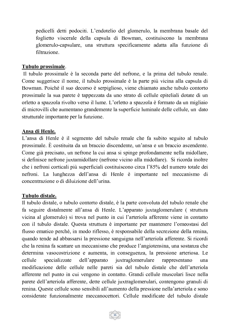Estratto dalla tesi: Studio sullo stile di vita ed educazione sanitaria della persona diabetica in dialisi