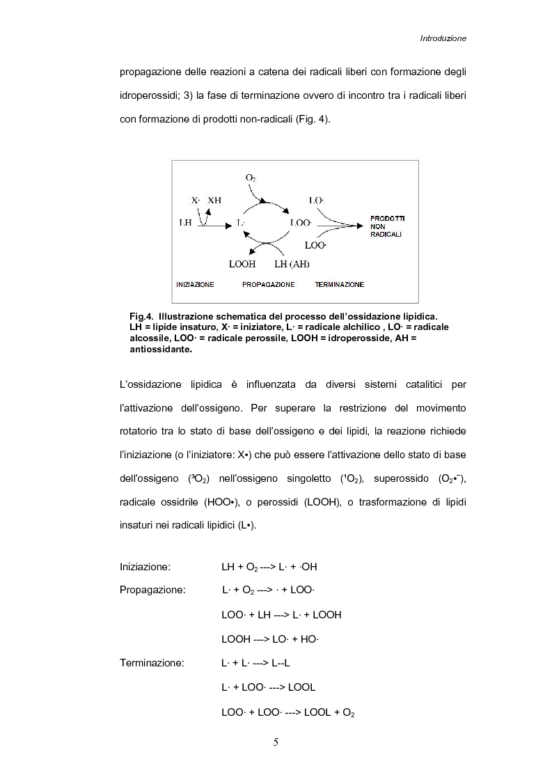 Anteprima della tesi: Stress ossidativo nei giorni di vita commerciale di Sparus aurata, Pagina 6