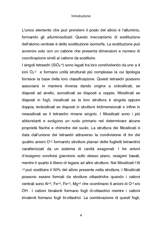 Anteprima della tesi: Analisi Proteomica di Cupriavidus metallidurans CH34: studio dell’interazione tra proteine e fasi solide del suolo, Pagina 5