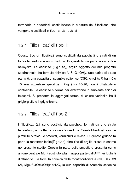 Anteprima della tesi: Analisi Proteomica di Cupriavidus metallidurans CH34: studio dell’interazione tra proteine e fasi solide del suolo, Pagina 6