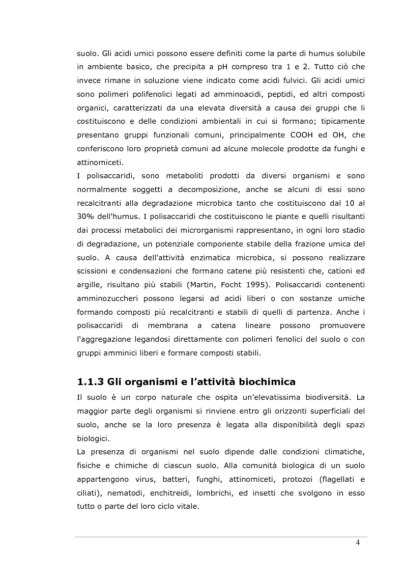 Anteprima della tesi: Effetti della Fitostabilizzazione Assistita sulla Funzionalità di un Suolo Contaminato da Rame, Pagina 5