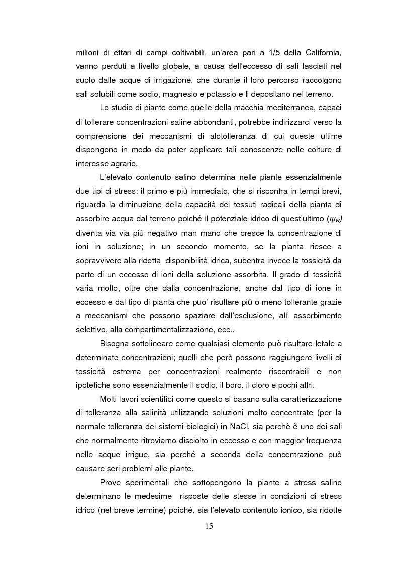 Anteprima della tesi: Sistemi antiossidanti in piante di Fraxinus ornus sottoposte a stress abiotici, Pagina 10