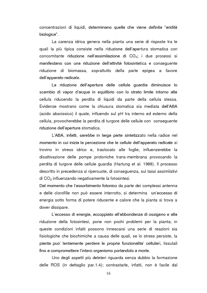 Anteprima della tesi: Sistemi antiossidanti in piante di Fraxinus ornus sottoposte a stress abiotici, Pagina 11