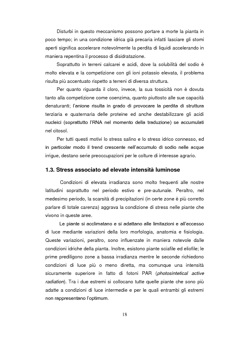 Anteprima della tesi: Sistemi antiossidanti in piante di Fraxinus ornus sottoposte a stress abiotici, Pagina 13