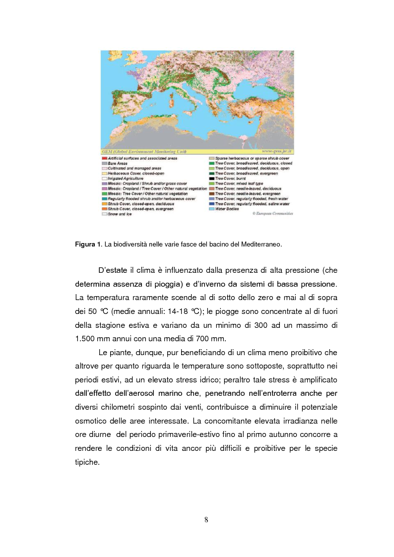 Anteprima della tesi: Sistemi antiossidanti in piante di Fraxinus ornus sottoposte a stress abiotici, Pagina 3