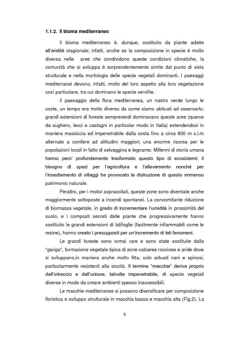 Anteprima della tesi: Sistemi antiossidanti in piante di Fraxinus ornus sottoposte a stress abiotici, Pagina 4