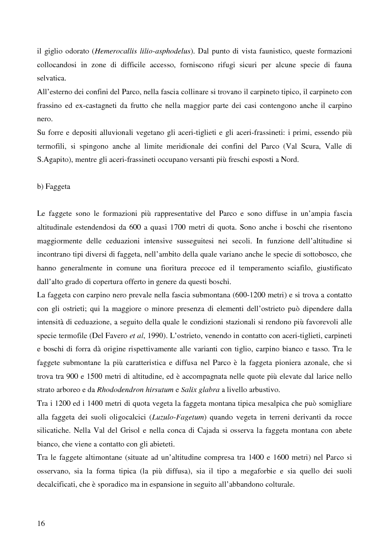 Anteprima della tesi: Caratteristiche forestali dei siti di nidificazione di Picchio nero (Dryocopus martius) nel Parco Nazionale delle Dolomiti Bellunesi, Pagina 5