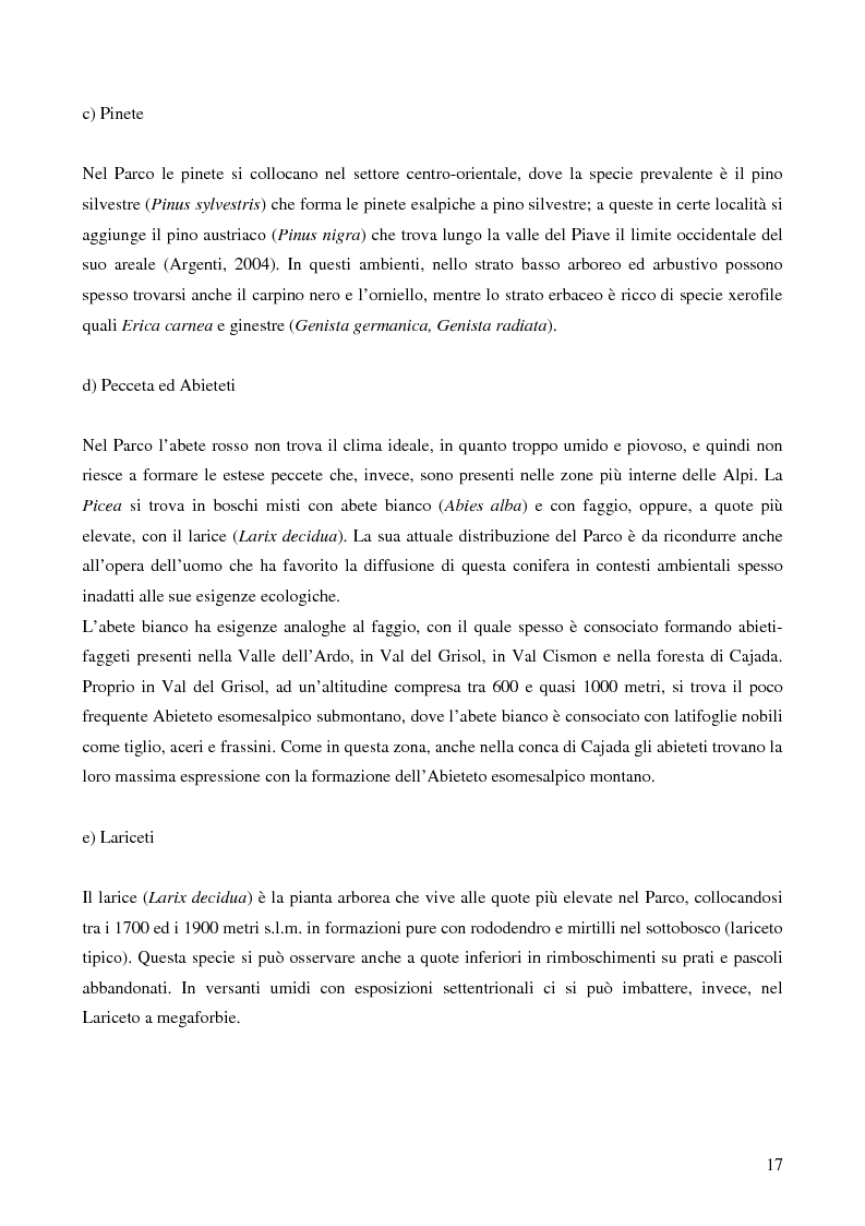 Anteprima della tesi: Caratteristiche forestali dei siti di nidificazione di Picchio nero (Dryocopus martius) nel Parco Nazionale delle Dolomiti Bellunesi, Pagina 6