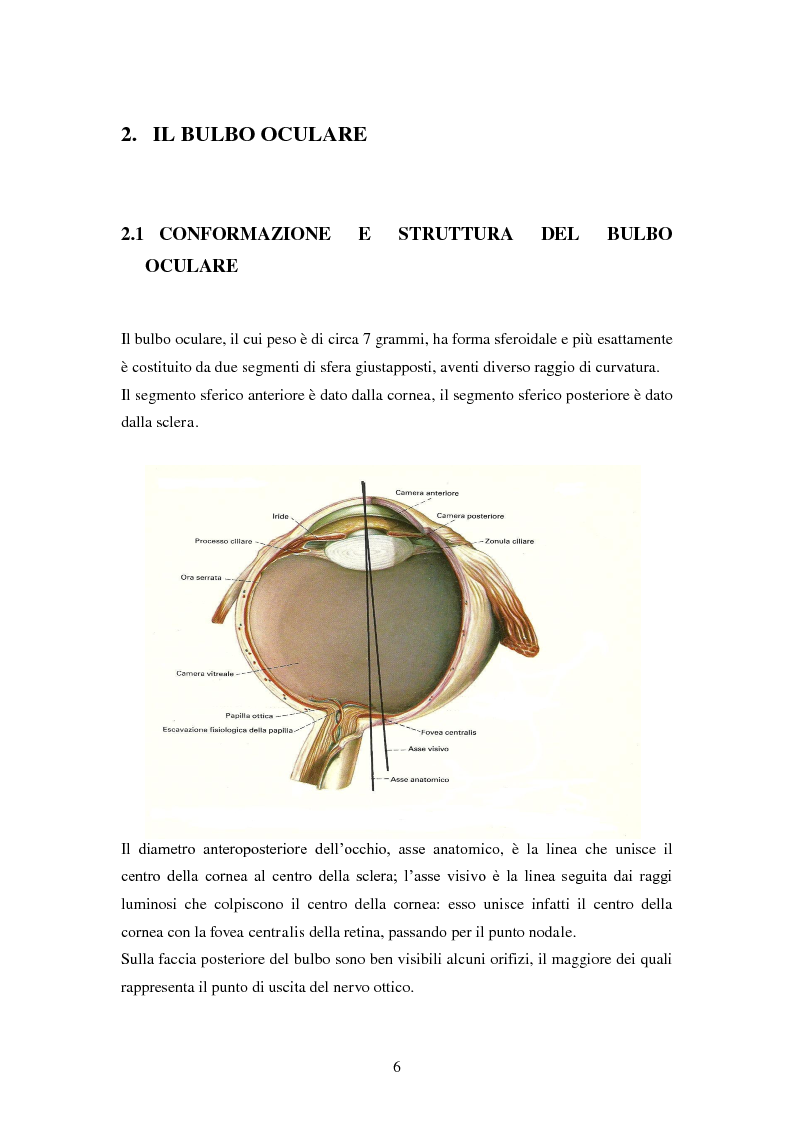 Anteprima della tesi: Formulazioni di colliri privi di principi attivi destinati alla terapia della sindrome dell'occhio secco, Pagina 4