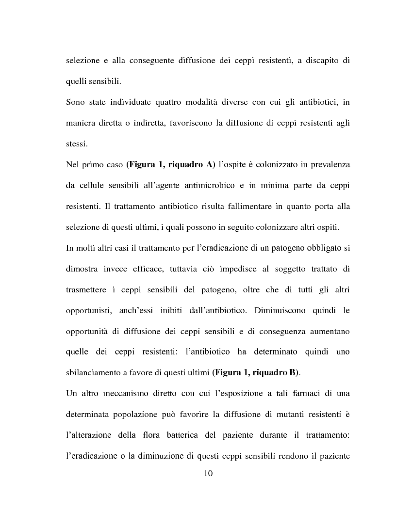 Anteprima della tesi: Sintesi e valutazione dell'attività antimicrobica di nuovi peptidomimetici cationici contenenti analoghi dell'arginina, Pagina 8