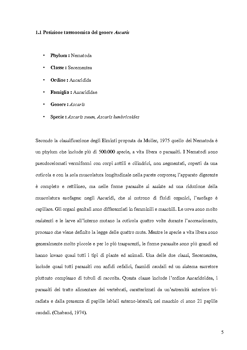 Anteprima della tesi: Diagnostica molecolare di infestazioni da nematodi del genere Ascaris spp., Pagina 4