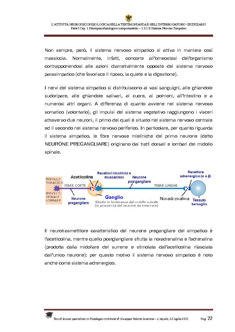 Estratto dalla tesi: L'attività neuropsicofisiologica nella testimonianza e nell'interrogatorio giudiziario