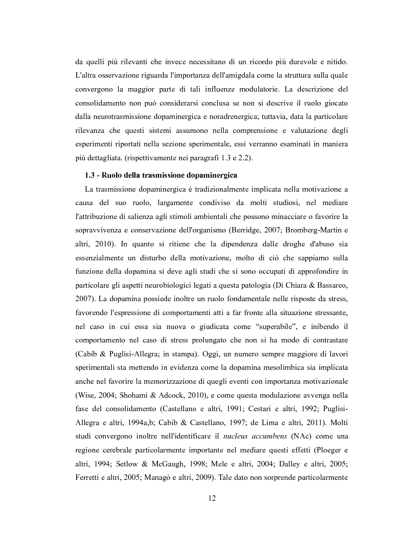 Estratto dalla tesi: Validazione farmacologica di un test della modulazione del consolidamento mnestico da parte dell'arousal positivo