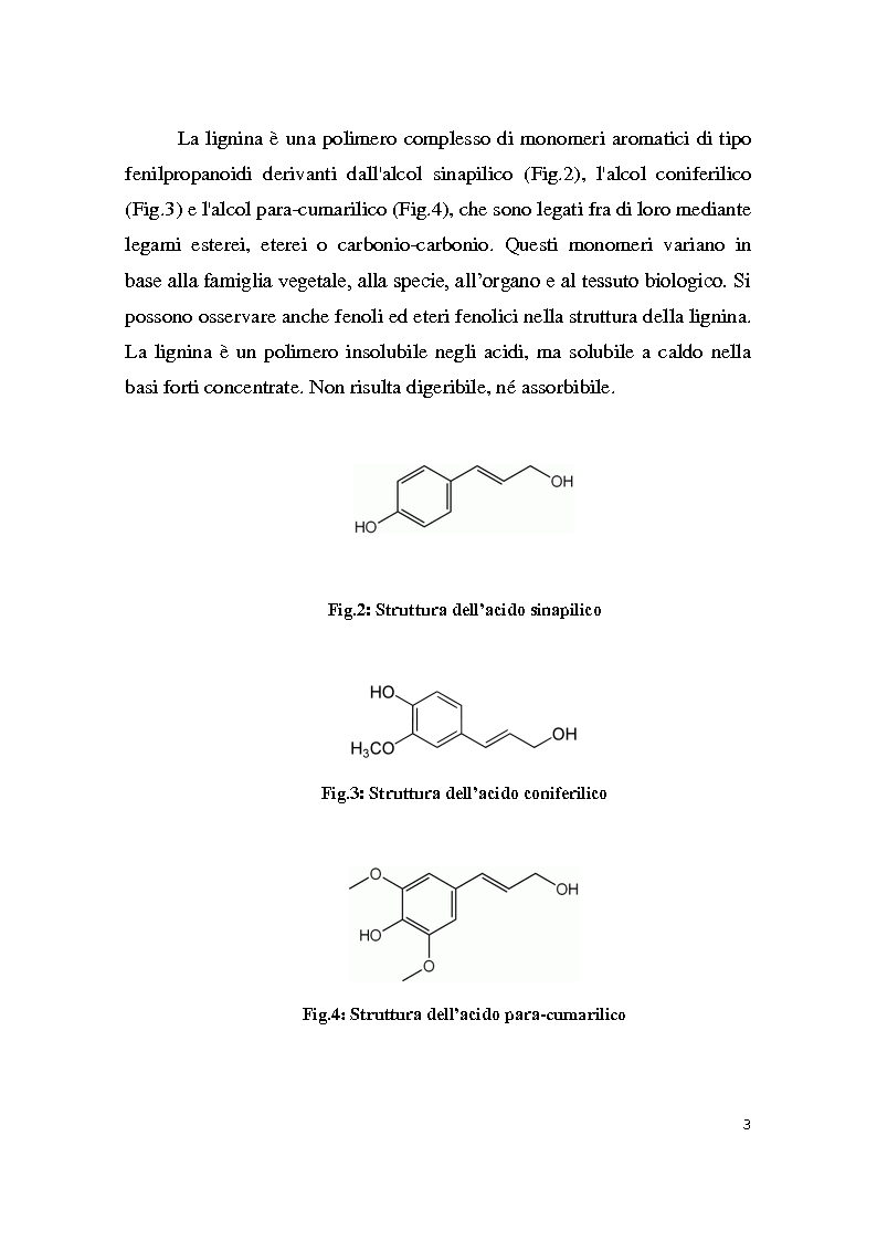 Anteprima della tesi: Sintesi e caratterizzazione delle nanoparticelle di platino, Pagina 3