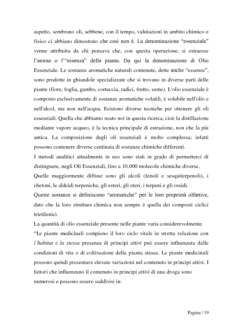 Estratto dalla tesi: Confronto tra tecniche di raccolta di piante officinali