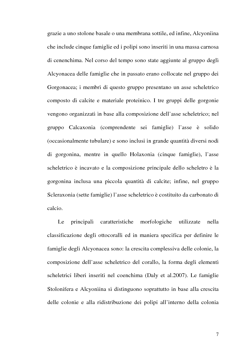 Anteprima della tesi: Filogenesi molecolare di coralli stoloniferi (Cnidaria:Octocorallia), Pagina 8