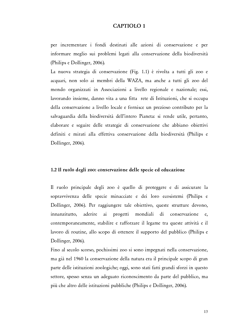 Anteprima della tesi: Il comportamento di "Panthera leo" nel nuovo exhibit naturalistico del Giardino Zoologico di Pistoia, Pagina 4