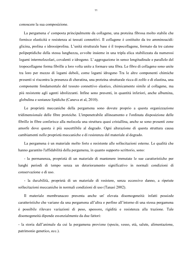 Estratto dalla tesi: Biodeterioramento di un Notarile del XVII secolo: diagnostica e metodi di intervento