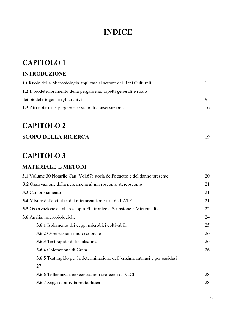 Indice della tesi: Biodeterioramento di un Notarile del XVII secolo: diagnostica e metodi di intervento, Pagina 1