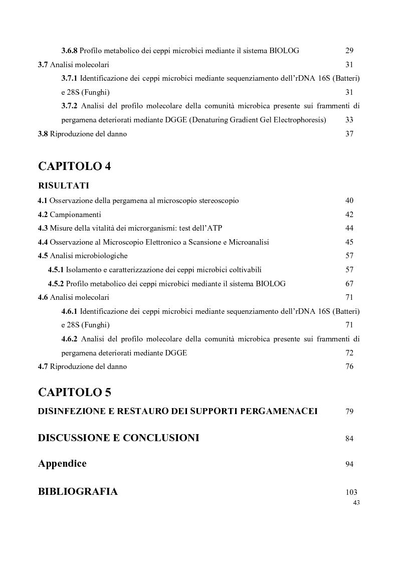 Indice della tesi: Biodeterioramento di un Notarile del XVII secolo: diagnostica e metodi di intervento, Pagina 2