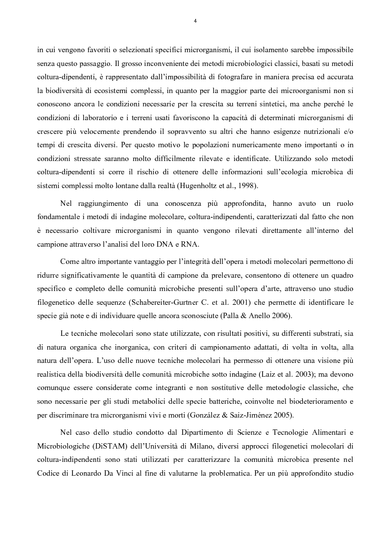 Anteprima della tesi: Biodeterioramento di un Notarile del XVII secolo: diagnostica e metodi di intervento, Pagina 5