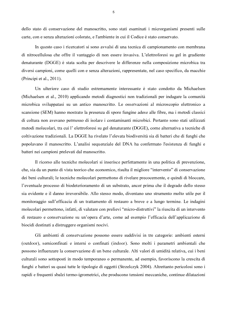 Anteprima della tesi: Biodeterioramento di un Notarile del XVII secolo: diagnostica e metodi di intervento, Pagina 6