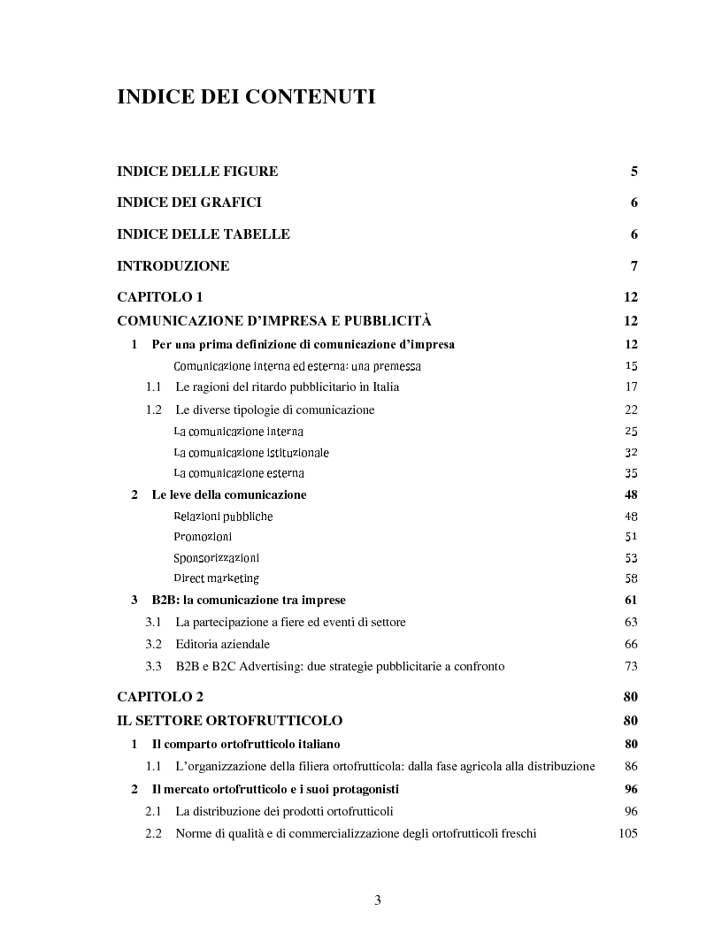 Indice della tesi: Comunicazione e impresa: attori, canali e processi editoriali al servizio del business. Case study: "Fruitbook", Pagina 1