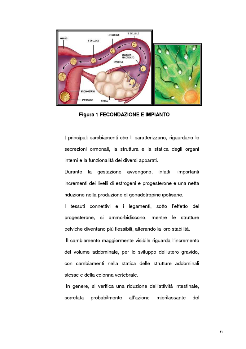 Anteprima della tesi: Benessere psicofisico, relazione di coppia e sessualità in gravidanza. L'Ostetrica e il Counselling sessuologico sulla base di una indagine conoscitiva., Pagina 7