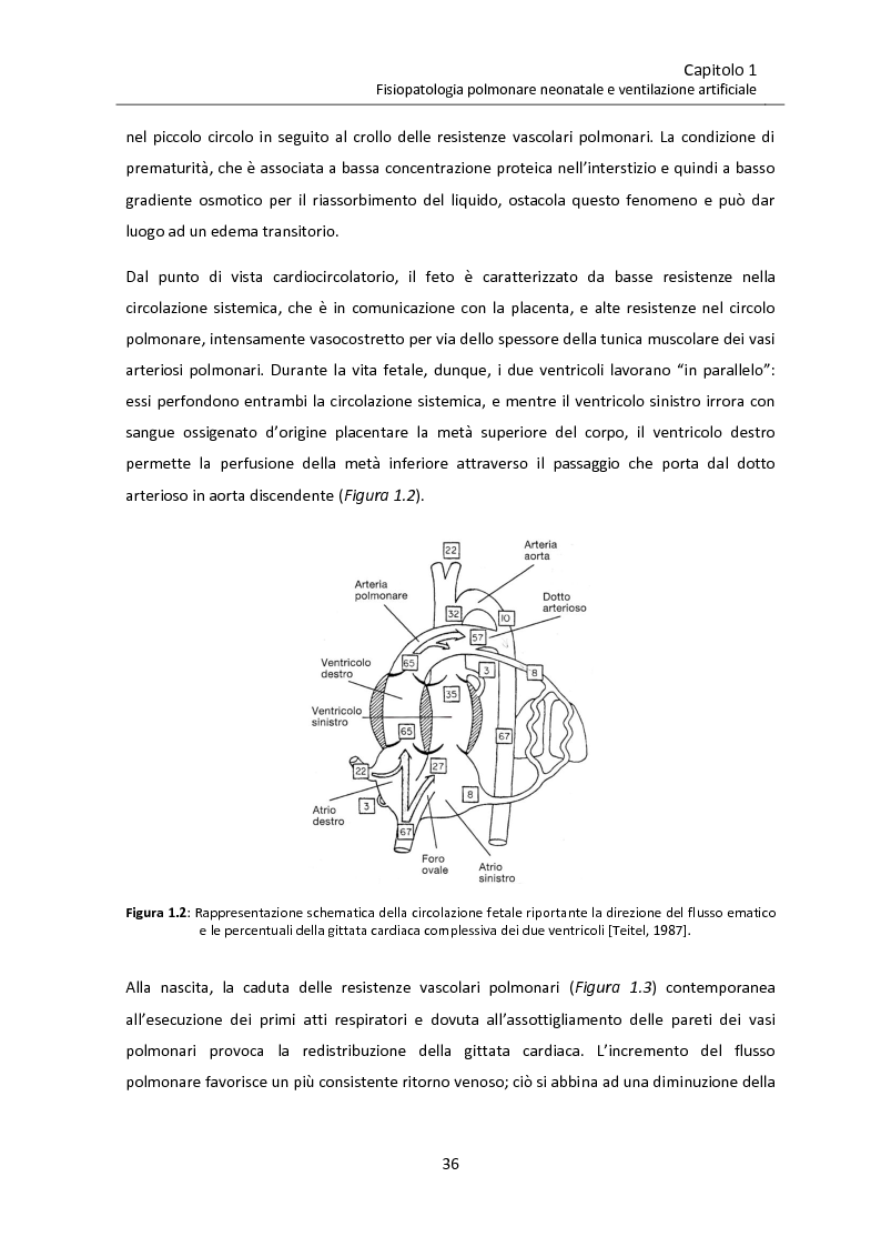 Anteprima della tesi: Modello matematico di interazione tra emodinamica e ventilazione meccanica ad alta frequenza respiratoria in neonati pretermine, Pagina 8