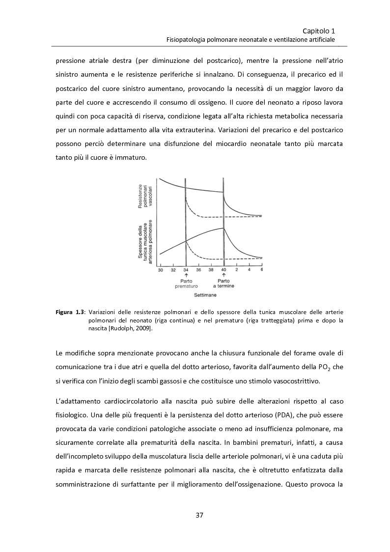 Anteprima della tesi: Modello matematico di interazione tra emodinamica e ventilazione meccanica ad alta frequenza respiratoria in neonati pretermine, Pagina 9