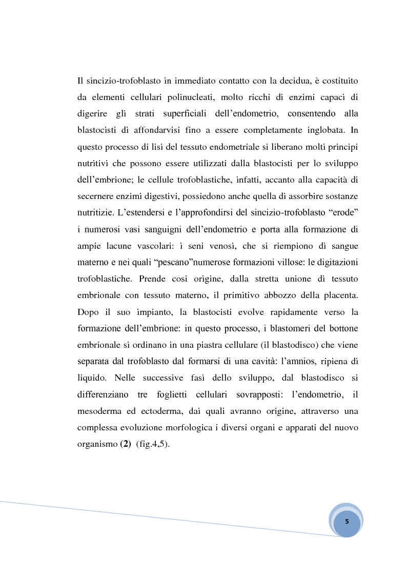 Anteprima della tesi: Fisiopatologia e aspetto immunoistochimico della mola vescicolare, Pagina 3