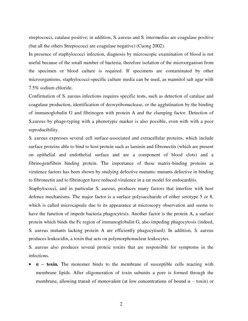 Anteprima della tesi: Implementation of a Chemiluminescent Immunoassay for S. Aureus Protein A in a Cd Microfluidic Device, Pagina 3