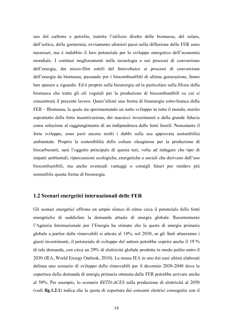 Anteprima della tesi: La biomassa: una FER a rapido sviluppo. Studio della filiera a oli vegetali e sulla sostenibilità ambientale ed energetica dei biocombustibili., Pagina 11