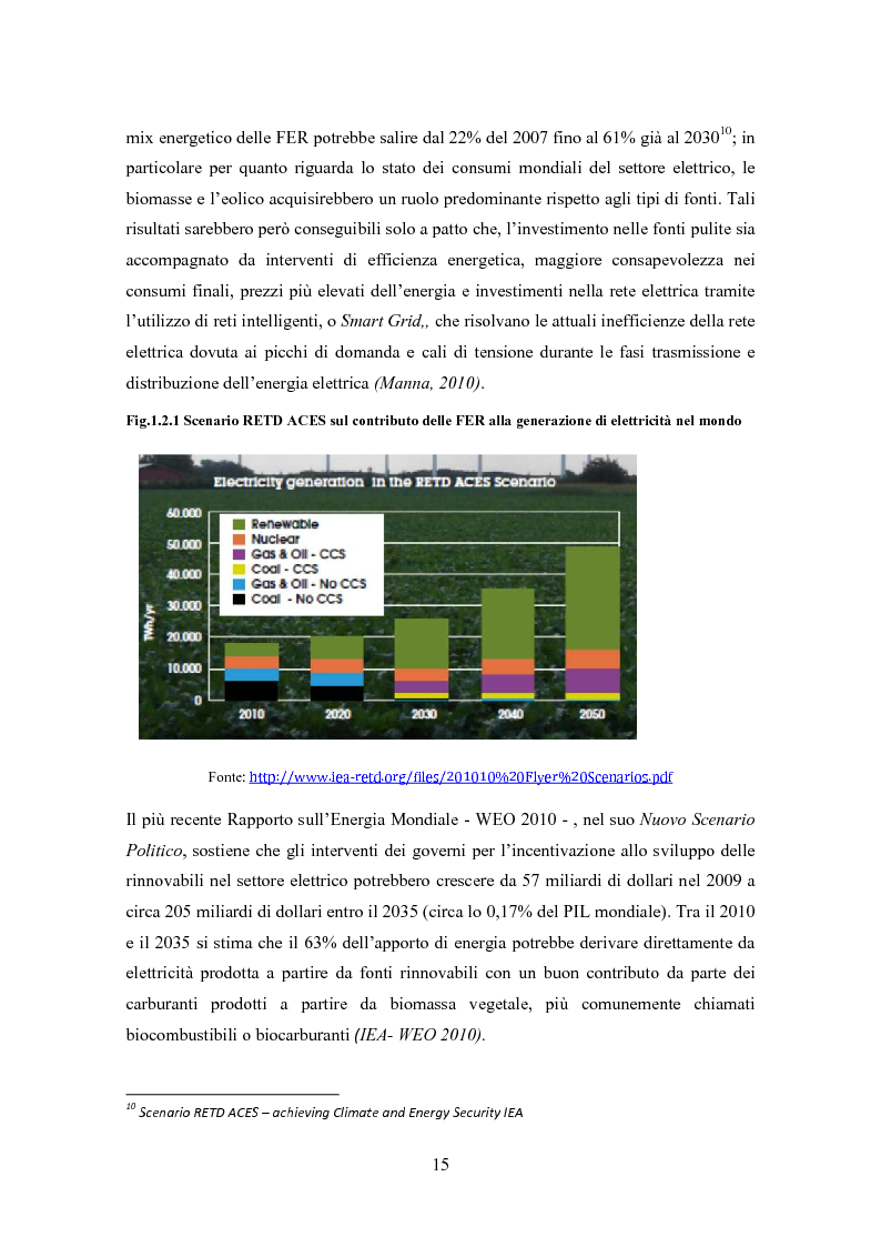 Anteprima della tesi: La biomassa: una FER a rapido sviluppo. Studio della filiera a oli vegetali e sulla sostenibilità ambientale ed energetica dei biocombustibili., Pagina 12