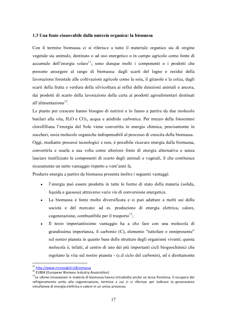 Anteprima della tesi: La biomassa: una FER a rapido sviluppo. Studio della filiera a oli vegetali e sulla sostenibilità ambientale ed energetica dei biocombustibili., Pagina 14