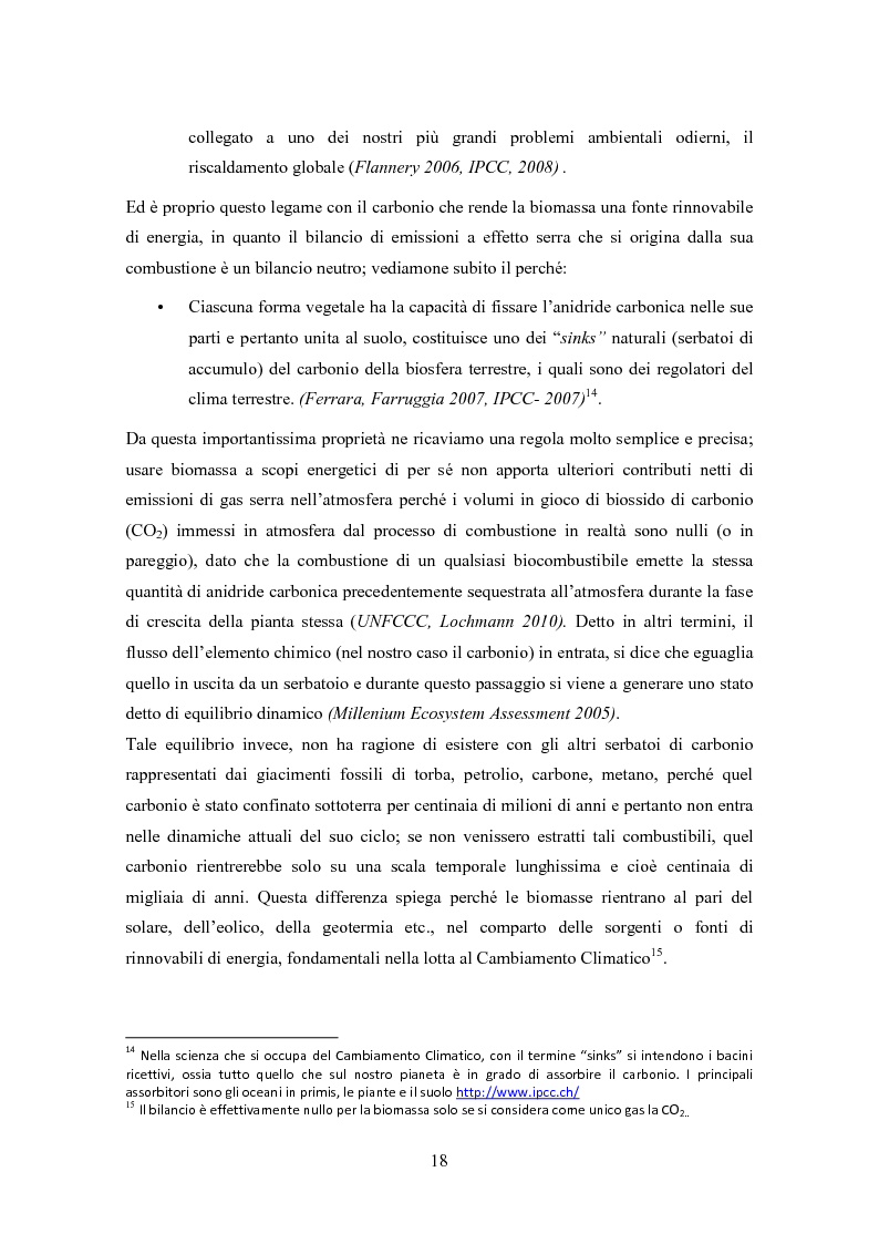 Anteprima della tesi: La biomassa: una FER a rapido sviluppo. Studio della filiera a oli vegetali e sulla sostenibilità ambientale ed energetica dei biocombustibili., Pagina 15