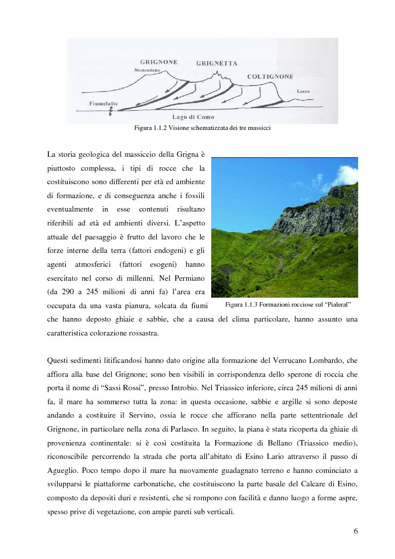 Anteprima della tesi: Individuazione di itinerari botanici nel gruppo della Grigne attraverso il GIS e le tecnologie mobili, Pagina 5