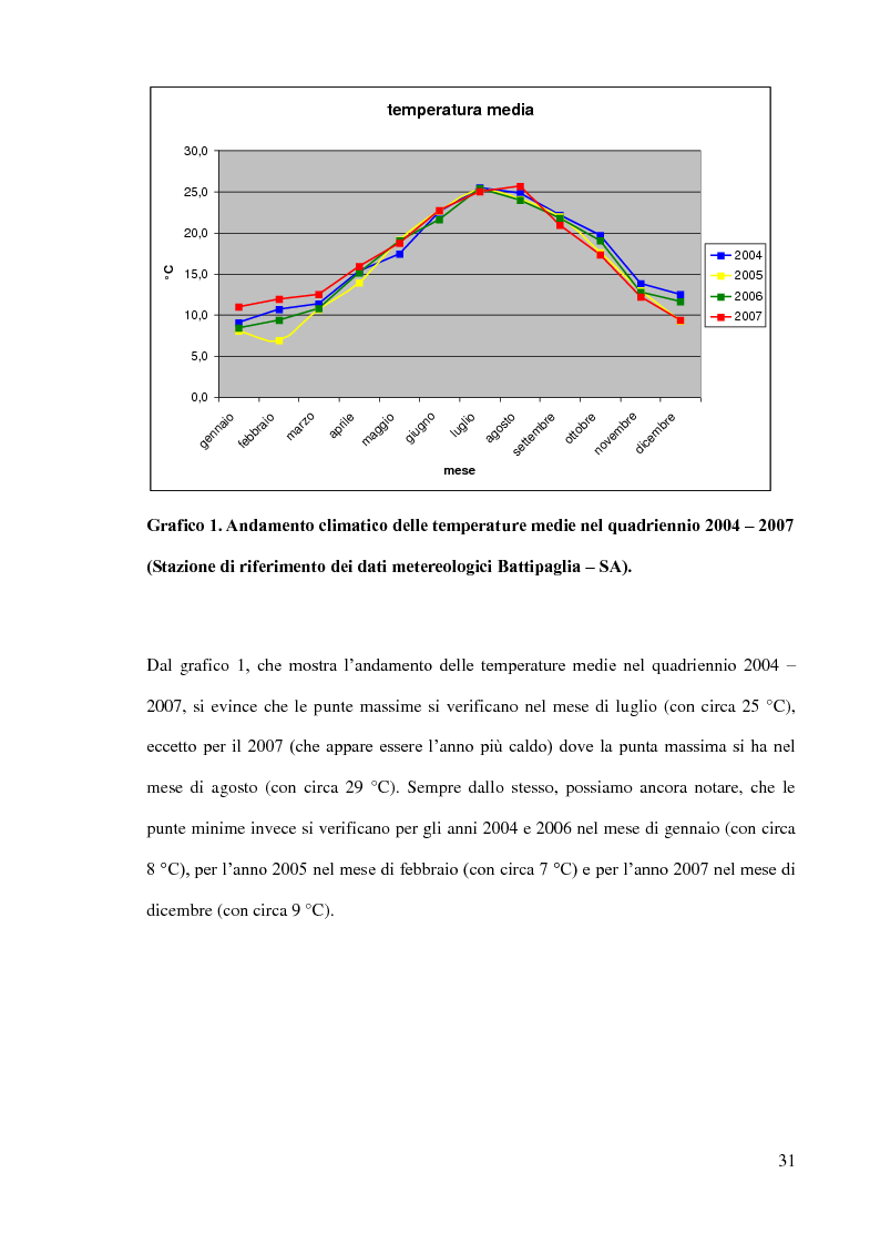 Anteprima della tesi: Olivicoltura intensiva: confronto tra due cv deboli (FS-17, I77) e in combinazione di innesto con due cv autoctone (Ravece e Carpellese), Pagina 4