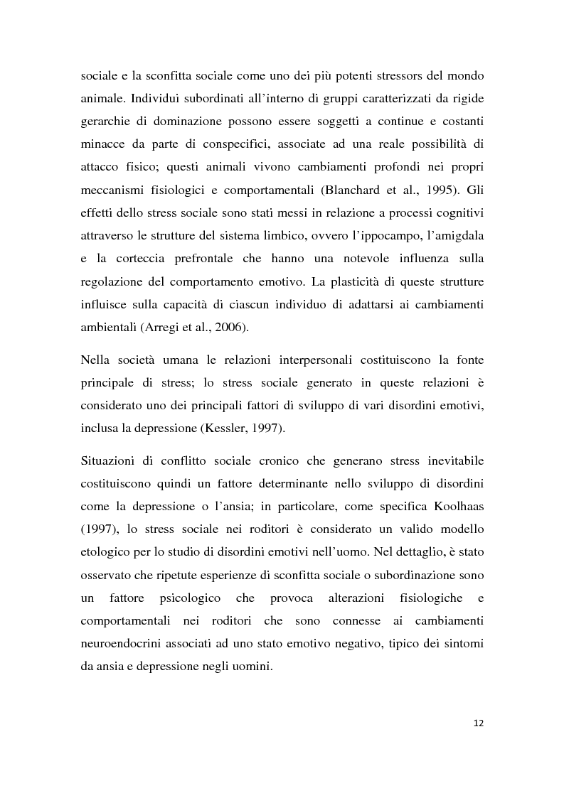 Anteprima della tesi: Effetti degli inibitori della fosfodiesterasi-5 (PDE-5) sul comportamento agonistico e sessuale in un modello animale, Pagina 9