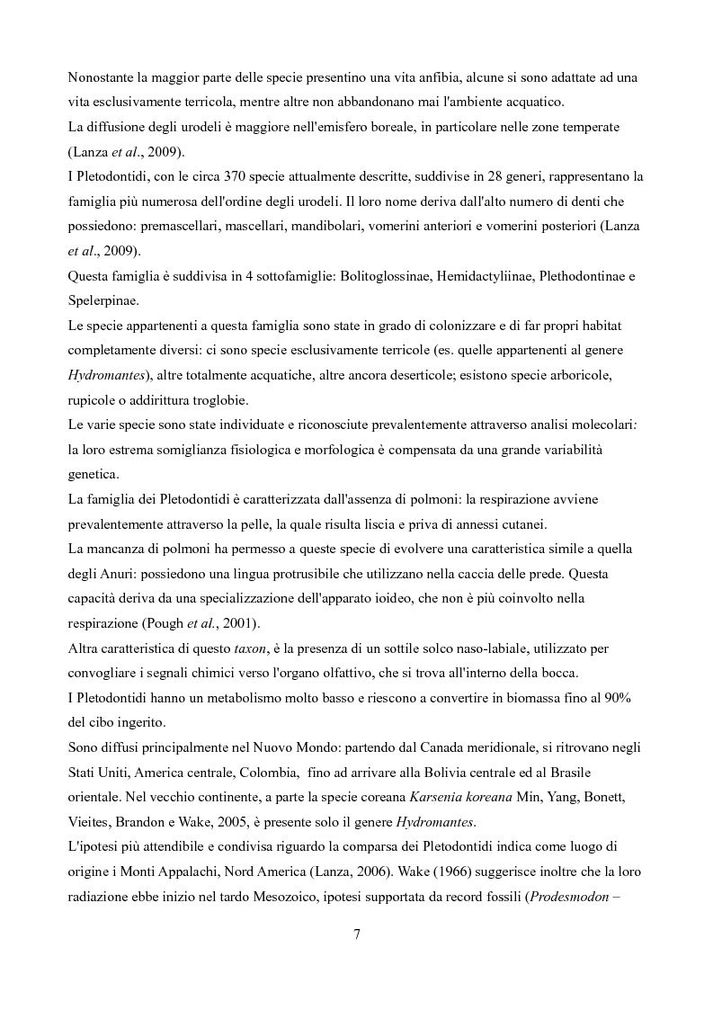 Anteprima della tesi: Caratteristiche delle Grotte e Distribuzione dei Geotritoni
(Hydromantes italicus, Amphibia) sull'Appennino Toscano, Pagina 5