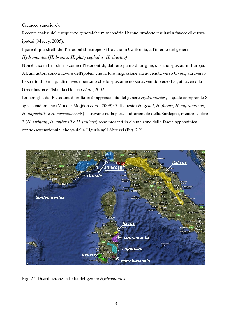Anteprima della tesi: Caratteristiche delle Grotte e Distribuzione dei Geotritoni
(Hydromantes italicus, Amphibia) sull'Appennino Toscano, Pagina 6