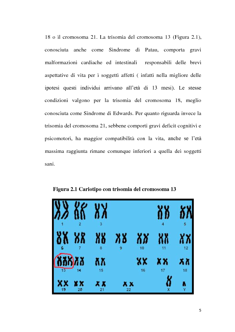 Anteprima della tesi: Patogenesi molecolare della Sindrome di Down, Pagina 6